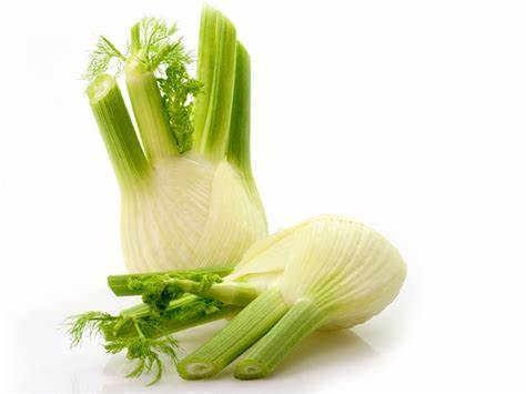 FENNEL EACH