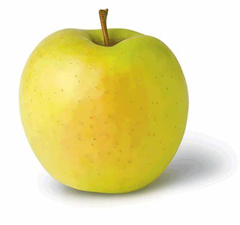 GOLDEN DELICIOUS APPLE EACH