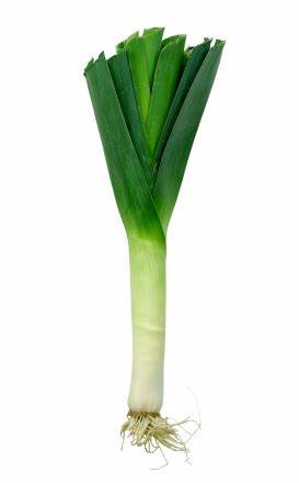 LEEKS LOOSE EACH