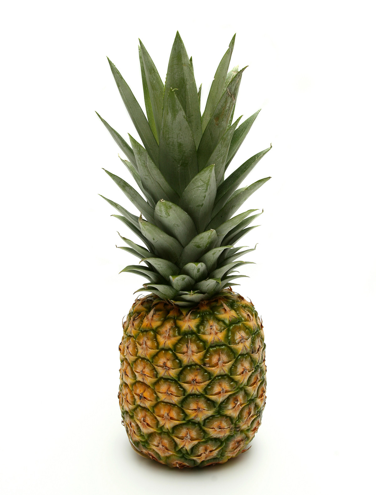 PINEAPPLE TOPS WHOLE