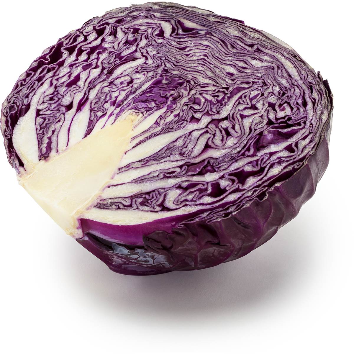 CABBAGE RED 1/2