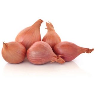 SHALLOTS EACH