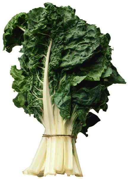 SILVERBEET BUNCH