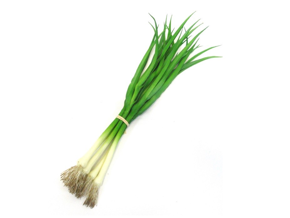 SPRING ONION BUNCH