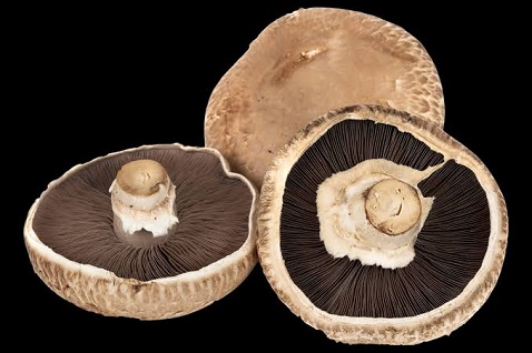 Large Flat Mushrooms (300g) approx 4